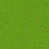 APFEL 107-5041